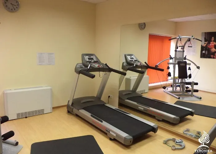Hotel Veronika 4*
