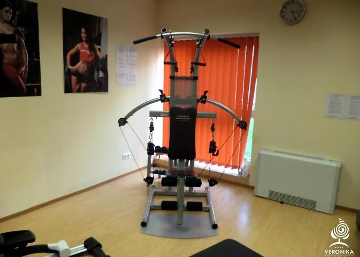 维若尼卡酒店 4*